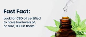 Facts about CBD Oil 